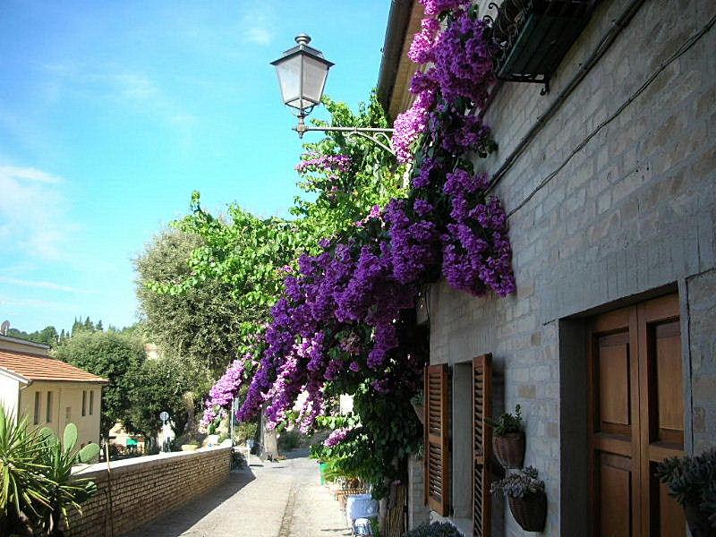 Torre di Palme nelle Marche